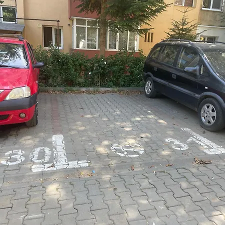 Kitty Sunflower Διαμέρισμα Άλμπα Ιούλια